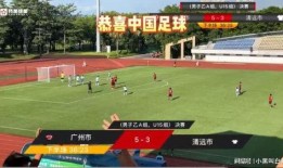 选手爆料假球视频大全下载,选手爆料视频大全下载解析